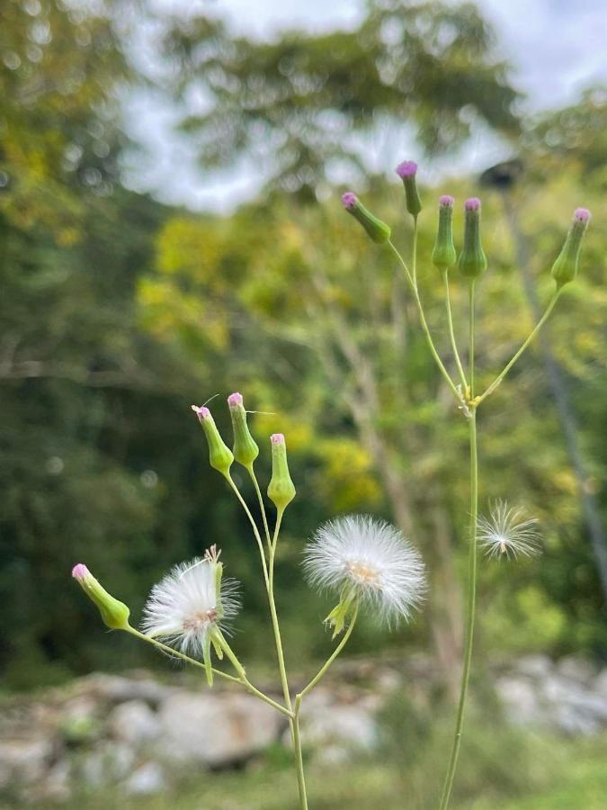 Naramountainkhaoyai รถบ้าน Ban Tha Chang Exterior photo